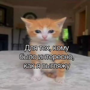 _357_